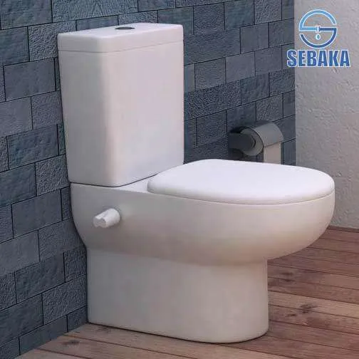 مرحاض بلان G0621 - G0622 بالشطاف الداخلى والسيديلى ذاتى الغلق والخزان وطقم التثبيت من أيديال ستاندرد
